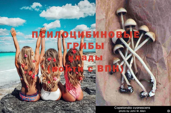 прущая мука Армянск