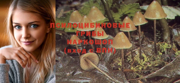 амф Аркадак