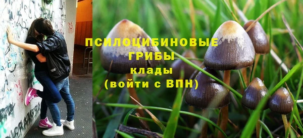 амф Аркадак