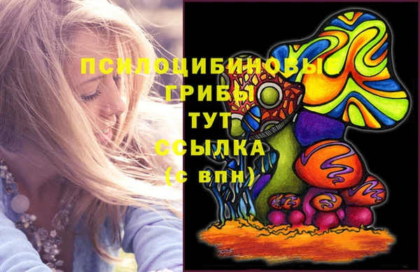 прущая мука Армянск