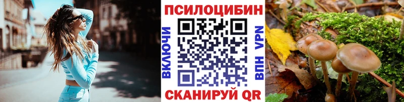 купить   Сосногорск  Галлюциногенные грибы Cubensis 